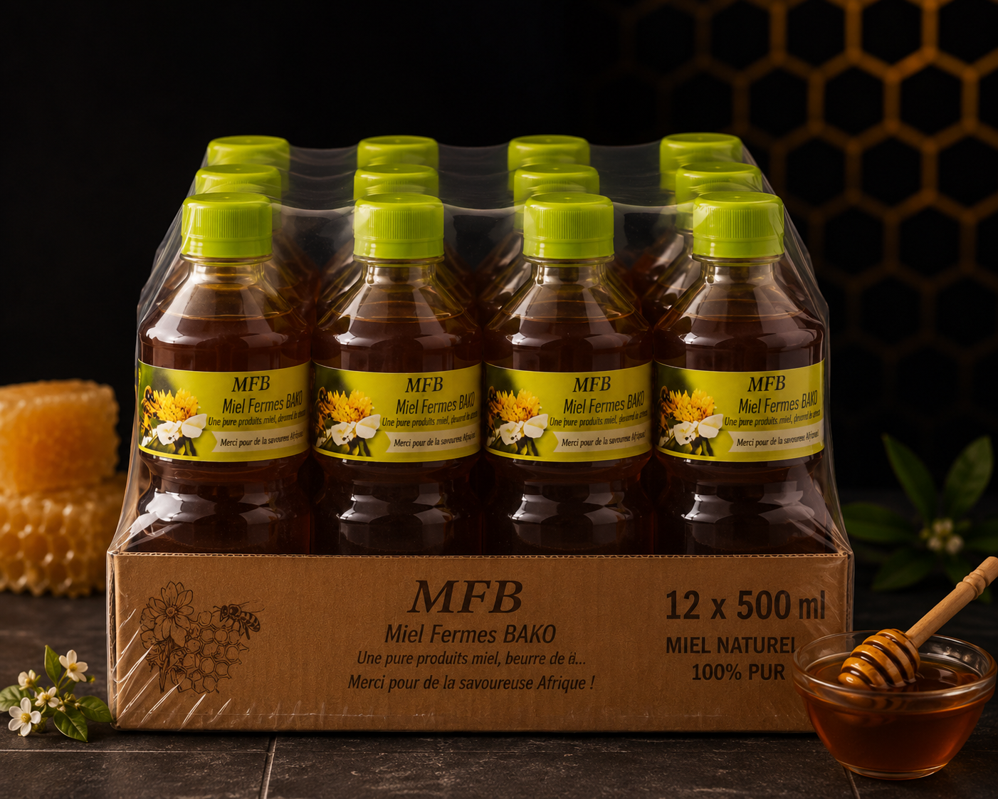 Pack de 12 bidons de 500 mL